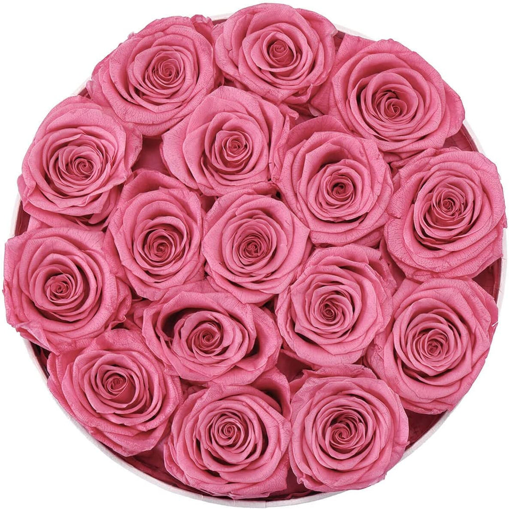 16-Piece Forever Flowers Preserved Rose in a Box Real Roses That Last a Year Preserved Flowers for Delivery Prime Mothers Day Valentines Day Christmas Day (Pink Roses, round White Box)